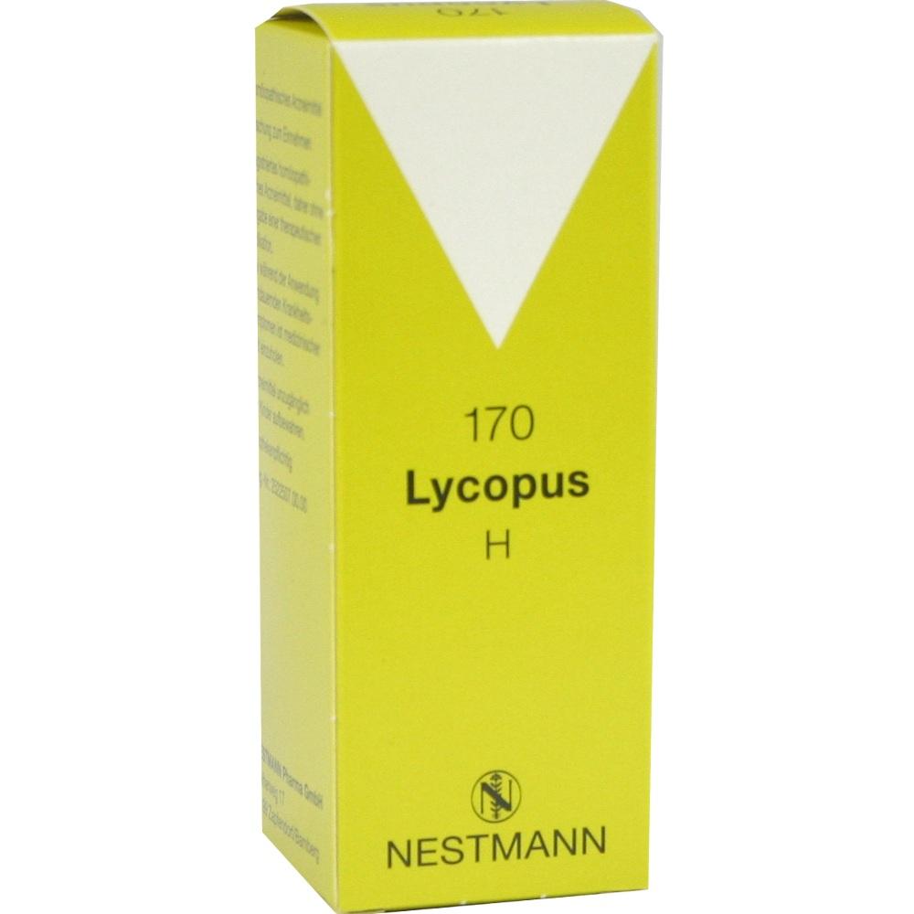 Lycopus H 170 null