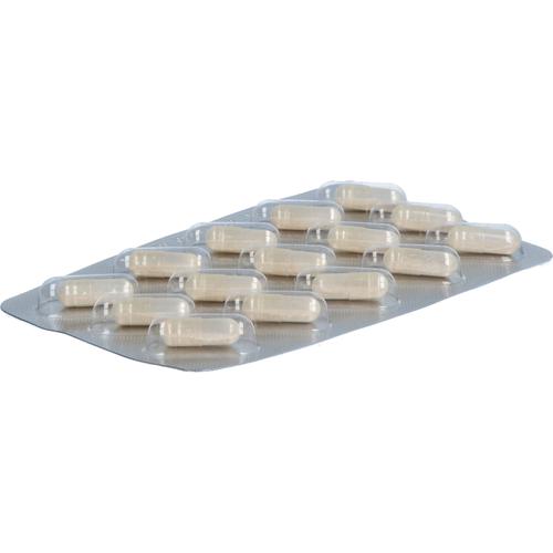 Agnumens Mono 10 mg 120 St Hecht-Pharma bei onfy.de kaufen 19808265