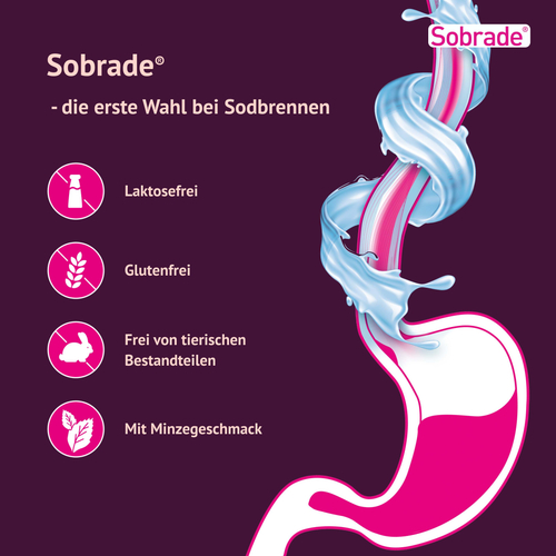 Sobrade 20 St G. Pohl-Boskamp bei onfy.de kaufen 16015707