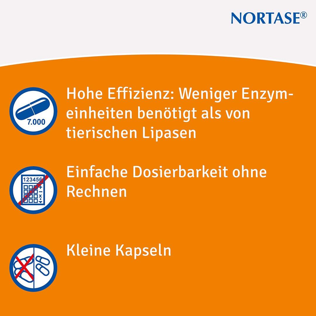 Nortase 100 St REPHA GmbH Biologische Arzneimittel bei onfy.de kaufen 01953707