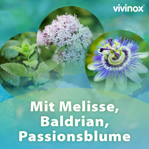Vivinox Nervenruhe Baldri+meli+passions Beruhigung 100 St Dr. Gerhard Mann bei onfy.de kaufen 16388259