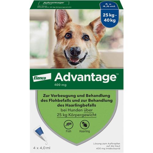 Advantage 400 Hund Pipette 1x4 St Elanco Deutschland Gmbh bei onfy.de kaufen 00334178