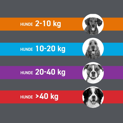 Frontline Combo Spo Hund L 3 St Boehringer Ingelheim Vetmedica Gmbh bei onfy.de kaufen 17558605