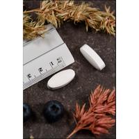 L-Lysin 1000 mg Kal null