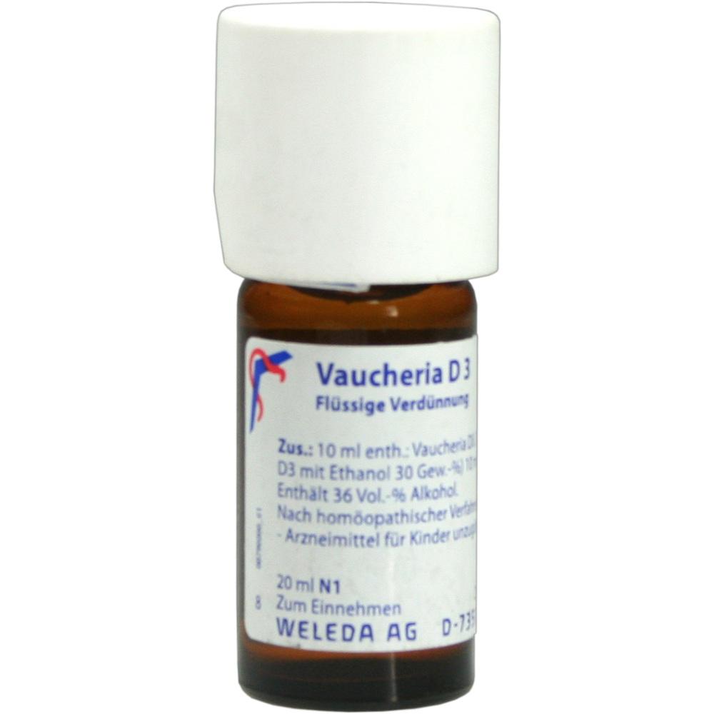 Vaucheria D 3