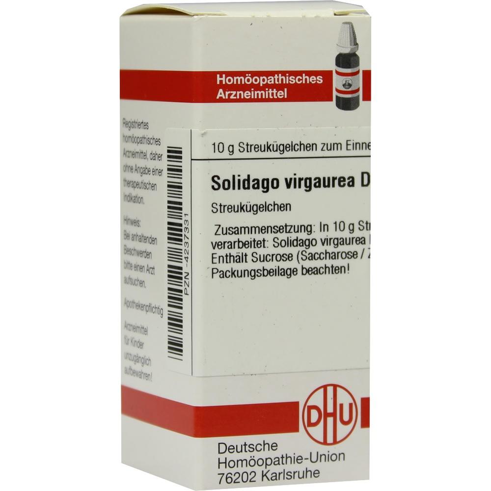 Solidago Virga D12 null