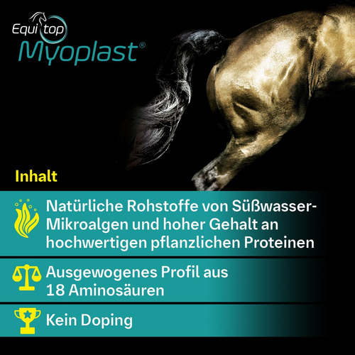 Equitop Myoplast Vet 1.5 kg Boehringer Ingelheim VETMEDICA bei onfy.de kaufen 00714857
