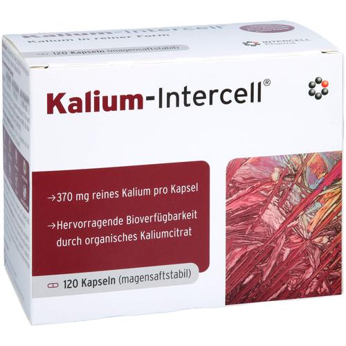 Kalium-Intercell 120 St INTERCELL-Pharma bei onfy.de kaufen 19275691