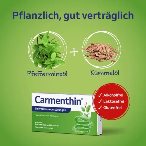 Carmenthin bei Verdauungsstörungen Weichkapsel 42 St Dr.Willmar Schwabe bei onfy.de kaufen 10327618