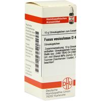 Fucus Vesicul D 4 null