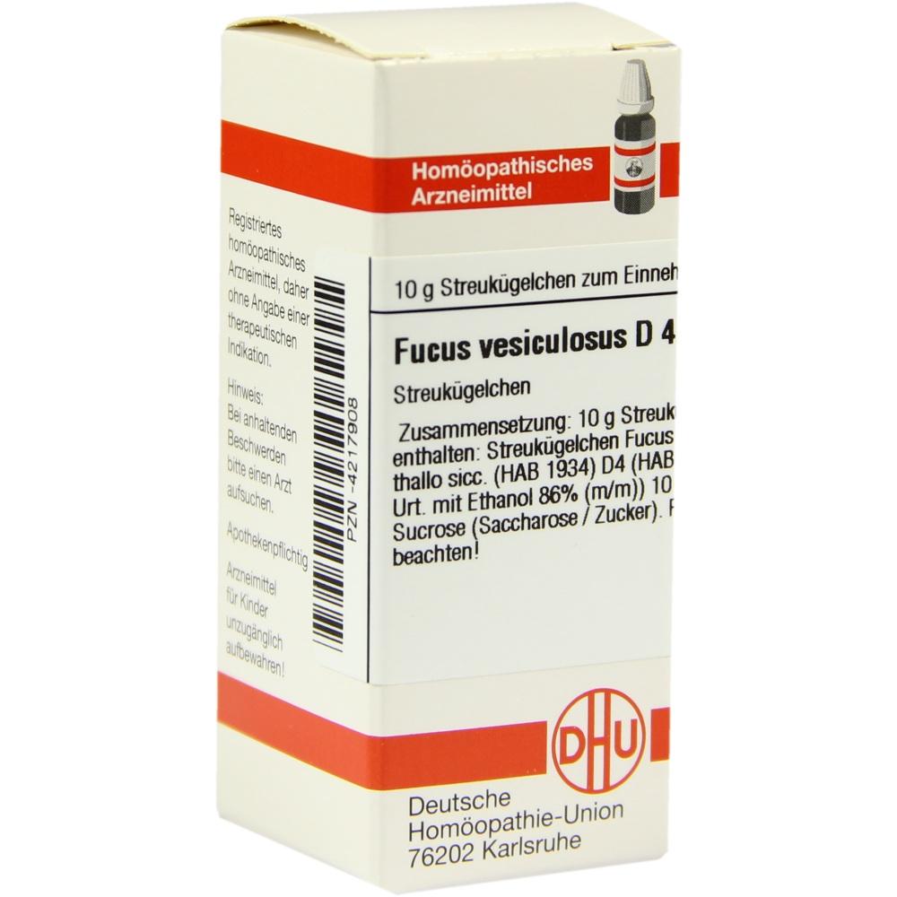 Fucus Vesicul D 4 null
