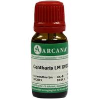 Cantharis Arca Lm 18 null