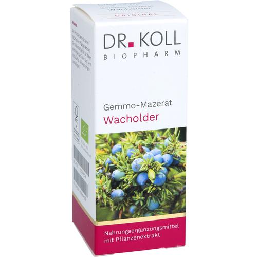 Gemmo Mazerat Wacholder Dr. Koll Juniperus Communi 50 ml Dr. Koll Biopharm bei onfy.de kaufen 20059923