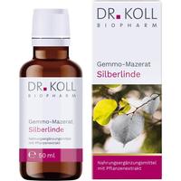 Gemmo-Mazerat Silberlinde Dr. Koll Tilia Tomentosa null