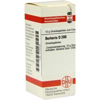 Berberis D200 null