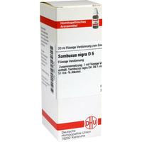 Sambucus Nigra D 6 null