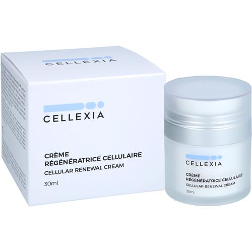 Cellexia Zellerneuerungscreme 30 ml CELLEXIA LIMITED bei onfy.de kaufen 19492282