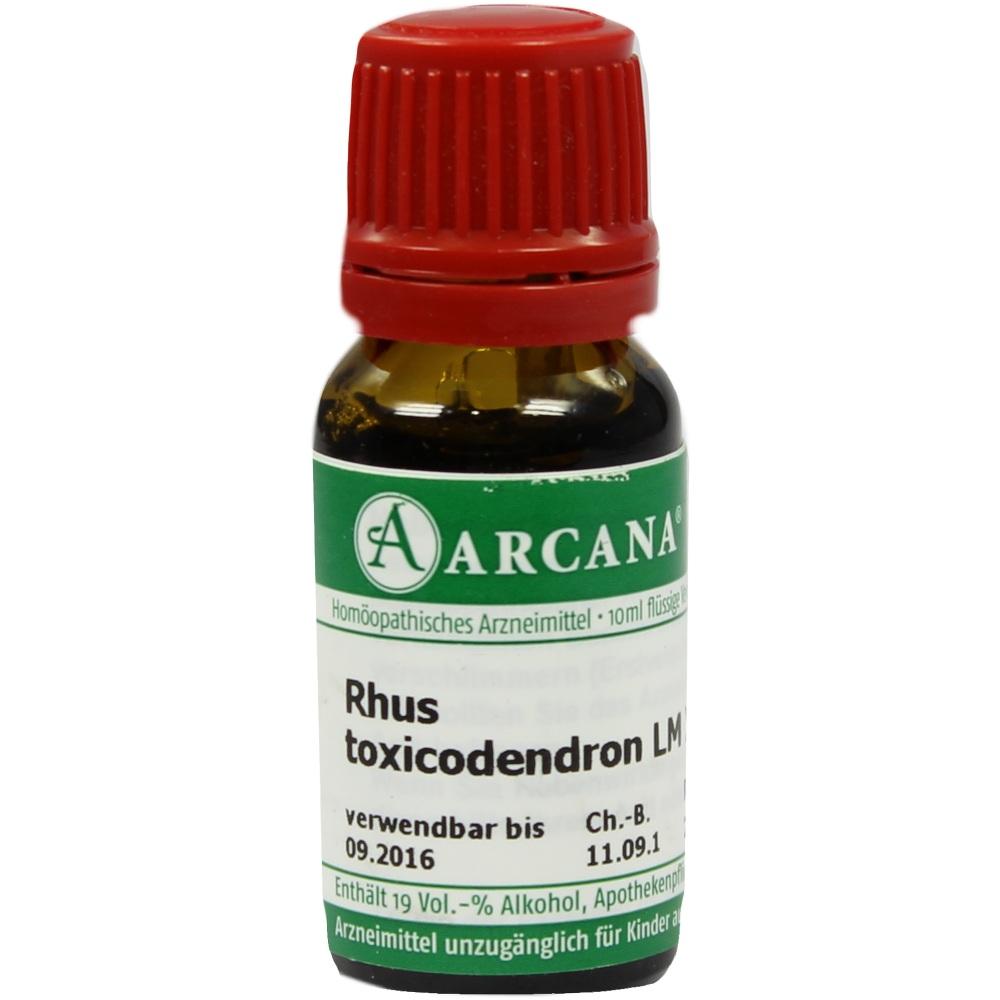 Rhus Toxicodendron Lm 12 null