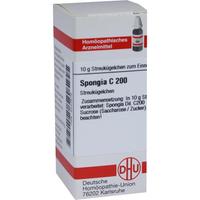 Spongia C200 null