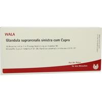 Glandula Sup Sin Cum Cupro null