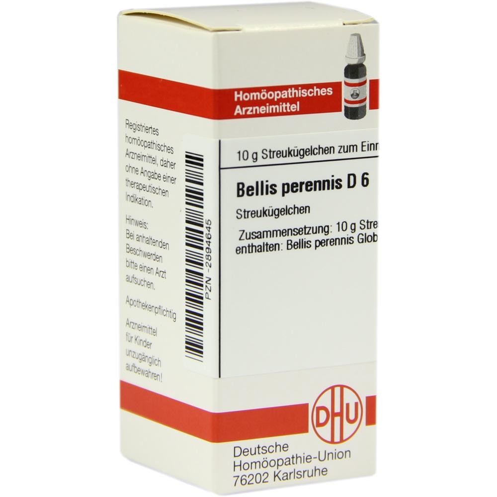 Bellis Perennis D 6 null