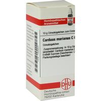 Carduus Marianus C 6 null