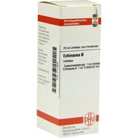 Echinacea (hab) Urt null