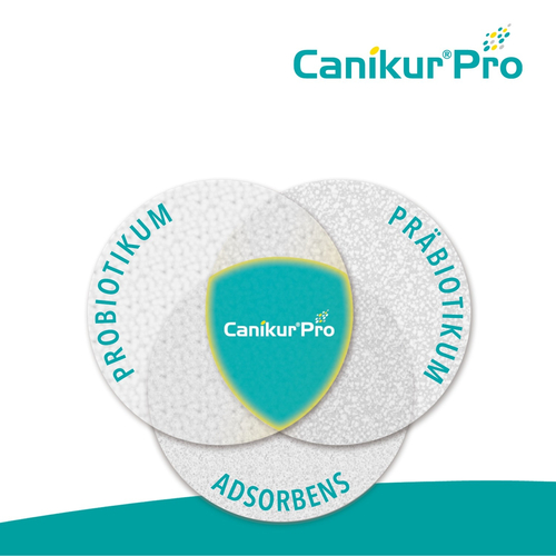 Canikur pro Vet. 15 ml Boehringer Ingelheim VETMEDICA bei onfy.de kaufen 05499984