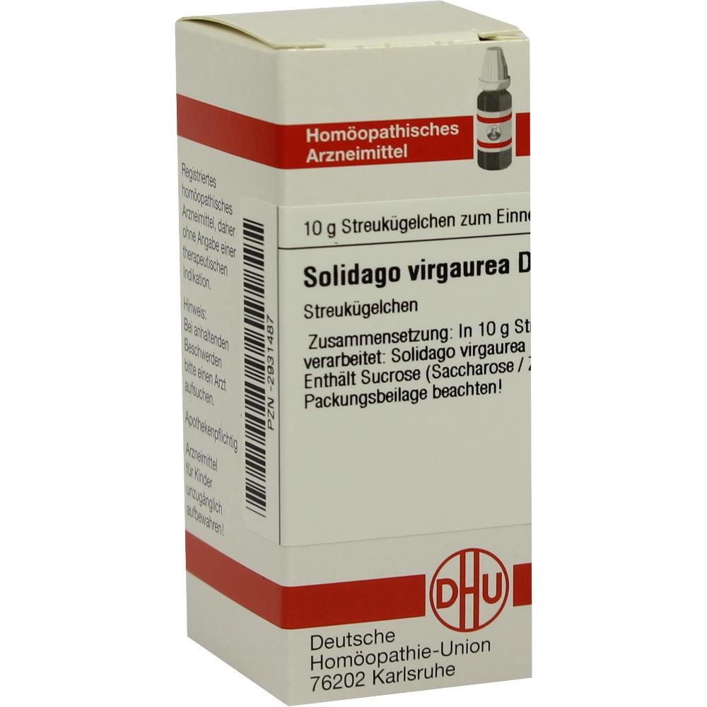 Solidago Virga D 6