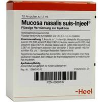 Mucosa Nas Suis Inj Org null