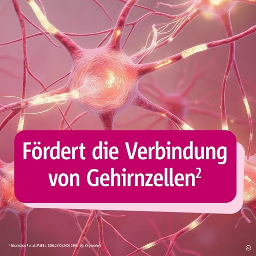 Tebonin Konzent 240mg 80 St Dr.Willmar Schwabe bei onfy.de kaufen 02293816