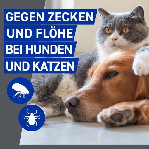 Frontline Vet 100 ml Boehringer Ingelheim Vetmedica Gmbh bei onfy.de kaufen 07579664