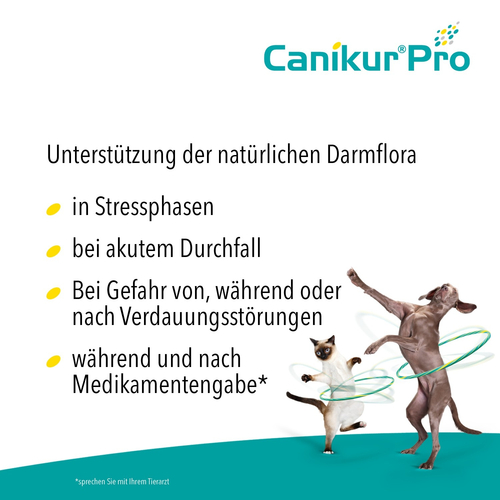 Canikur pro Vet. 15 ml Boehringer Ingelheim VETMEDICA bei onfy.de kaufen 05499984