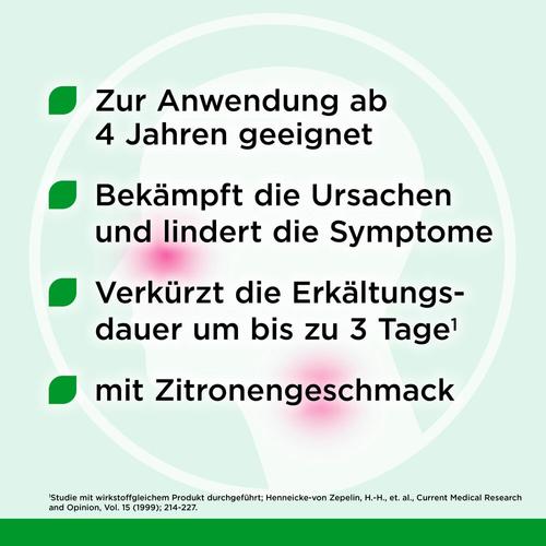 Esberitox Tabletten bei Erkältungskrankheiten  60 St MEDICE Arzneimittel Pütter bei onfy.de kaufen 13654335