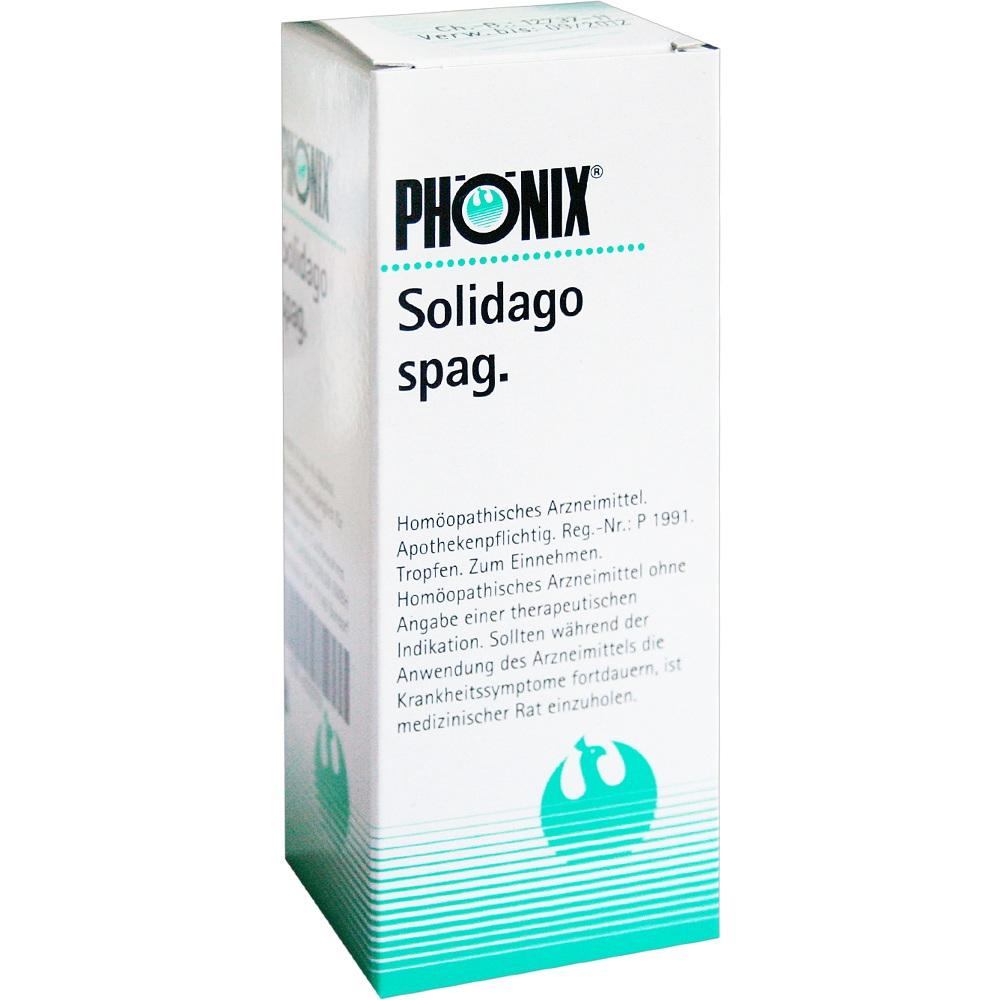 Phönix Solidago Spag. null