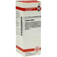 Ledum Extern null