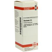 Okoubaka D 6