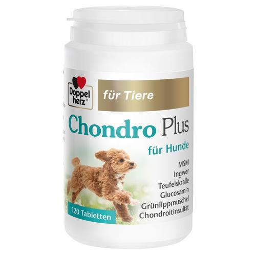 Doppelherz für Tiere Chondro Plus für Hunde 120 St Queisser Pharma bei onfy.de kaufen 19495636