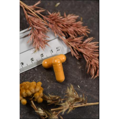 Weihrauch/Curcuma mit Lecithin American Biologics 90 St Supplementa bei onfy.de kaufen 16700538