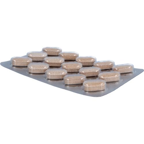 Auranatura Gelenkgut 60 St Pharmatura bei onfy.de kaufen 19511714