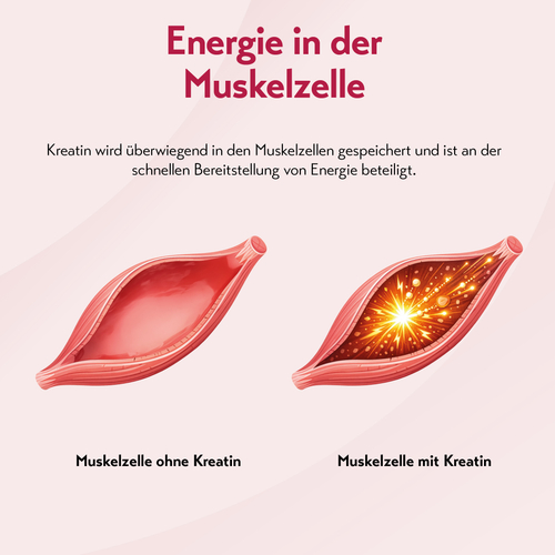 Puresgp Kreatin 360 g PharmaSGP bei onfy.de kaufen 20330254