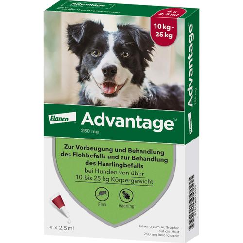 Advantage 250 Hund 4 St Elanco Deutschland Gmbh bei onfy.de kaufen 08613328