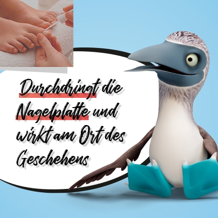 Ciclopirox Dexcel 80 mg/G Wirkstoffhaltiger Nagel. 6.6 ml Dexcel Pharma bei onfy.de kaufen 17617242