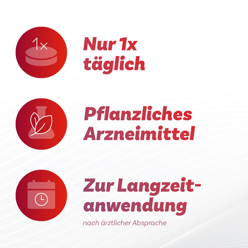 Antistax Extra Venentabletten 360 mg Filmtabletten 180 St STADA Consumer Health Deutschland bei onfy.de kaufen 16156023