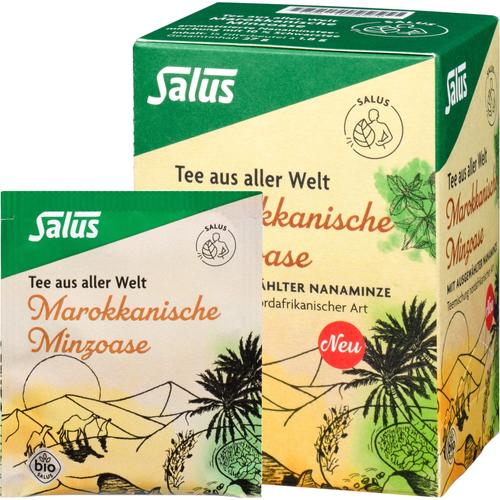 Marokkanische Minzoase Bio Salus 15 St SALUS Pharma bei onfy.de kaufen 19290070