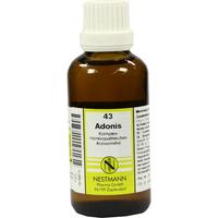 Adonis Kompl Nestm 43 null