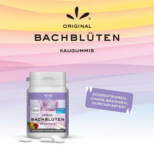 Konzentration Kaugummi nach Dr. Bach 40 St Hager Pharma bei onfy.de kaufen 03629655