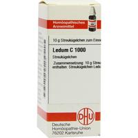 Ledum C1000 null