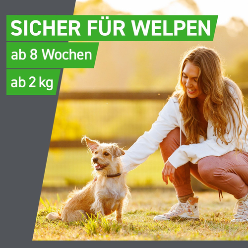 Frontline Combo Spo Hund L 3 St Boehringer Ingelheim Vetmedica Gmbh bei onfy.de kaufen 17558605