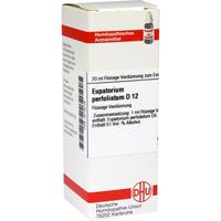 Eupatorium Perf D12 null